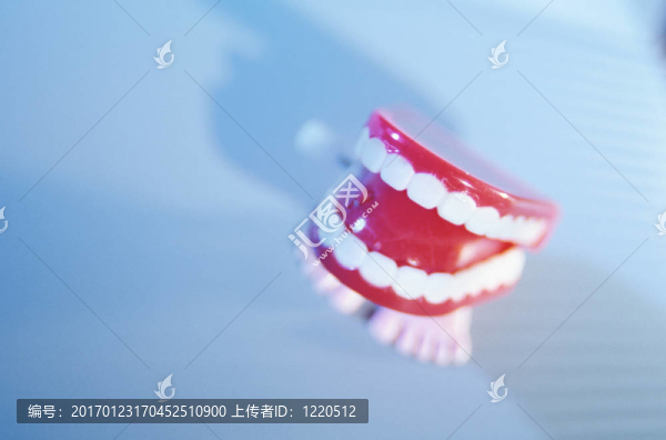 牙齒