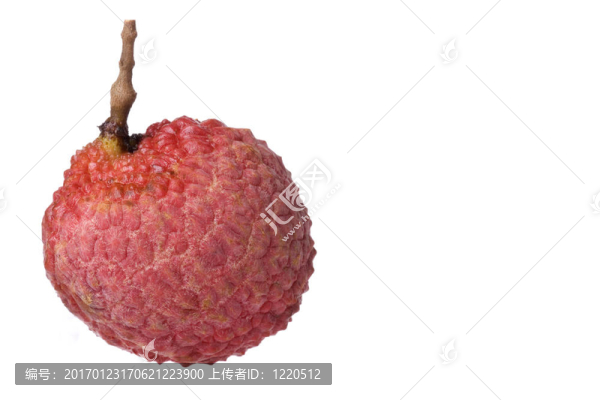 荔枝的宏