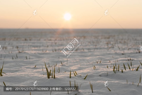 雪