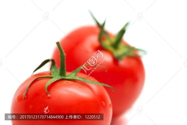 番茄