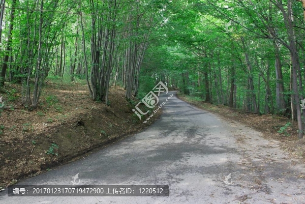 路-匯圖網(wǎng) www.fosd68.com 路