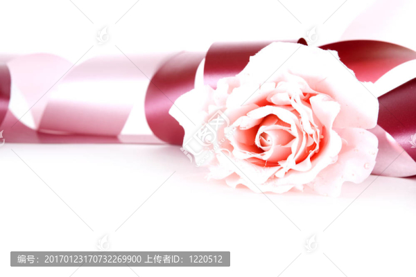 粉紅絲帶