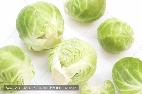 布魯塞爾豆芽
