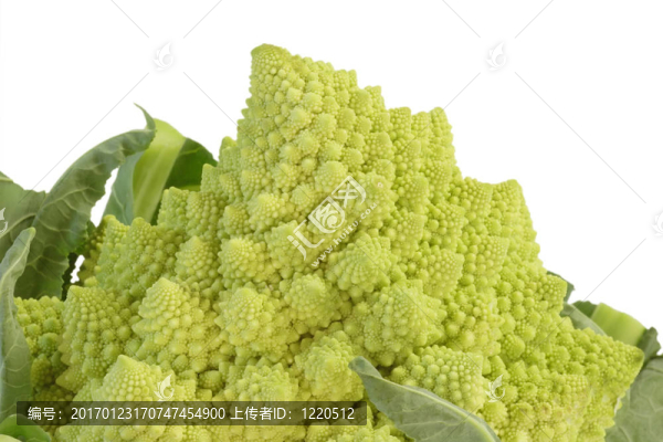 romanesco_5