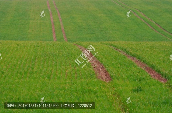 場