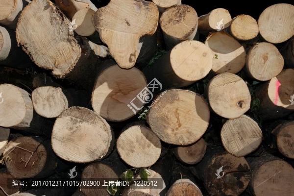 logpile
