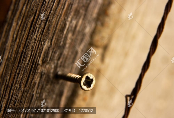 螺桿