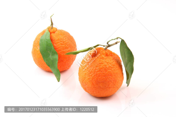 兩官吏分離-匯圖網(wǎng) www.fosd68.com 兩官吏分離