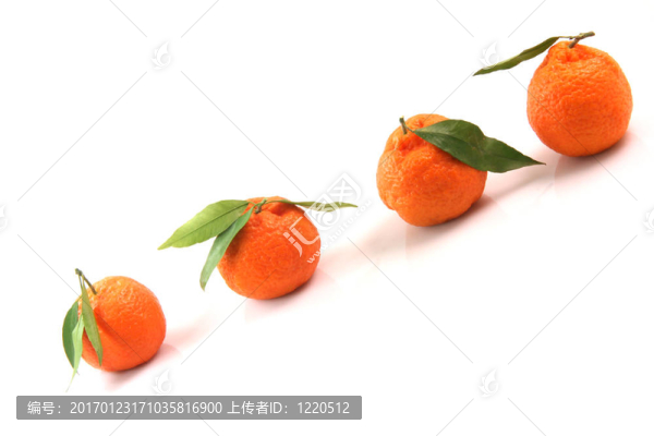 復(fù)制空間的官員