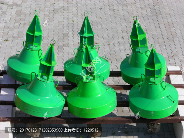 土地上的綠色buoies