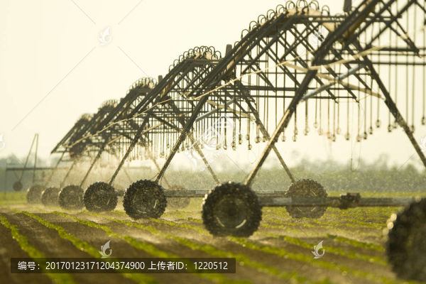 農(nóng)業(yè)