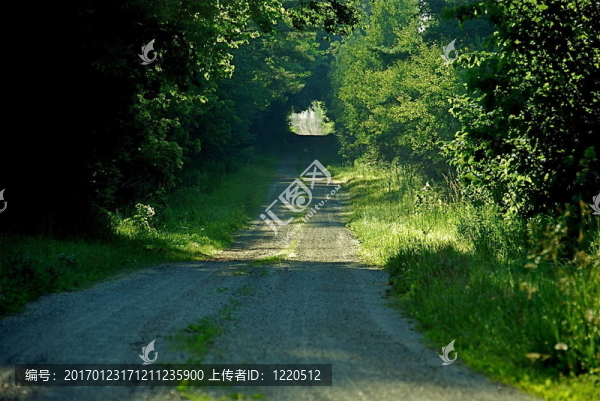 少走的路