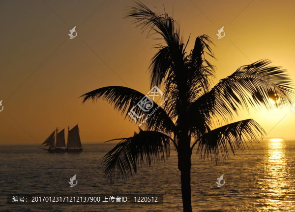 遠(yuǎn)航