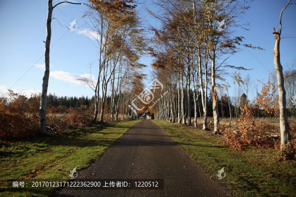 通往城堡