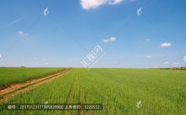 場(chǎng)