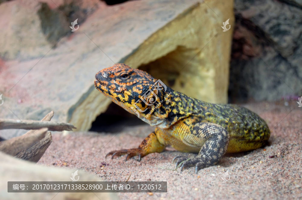 等待-匯圖網(wǎng) www.fosd68.com 等待