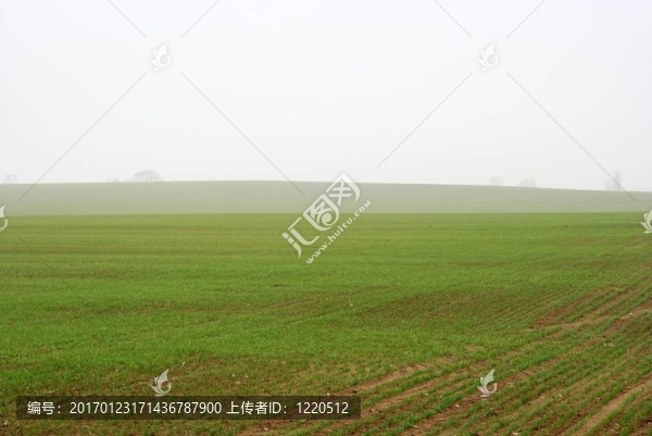 substr（霧；0；200）