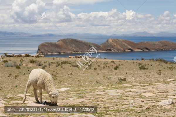 substr（太陽島-喀喀；羊0；200）
