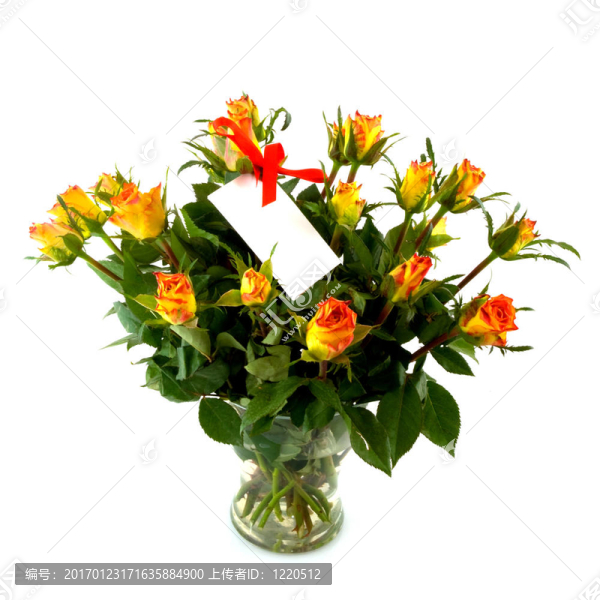 帶通知卡的玫瑰-匯圖網(wǎng) www.fosd68.com 帶通知卡的玫瑰