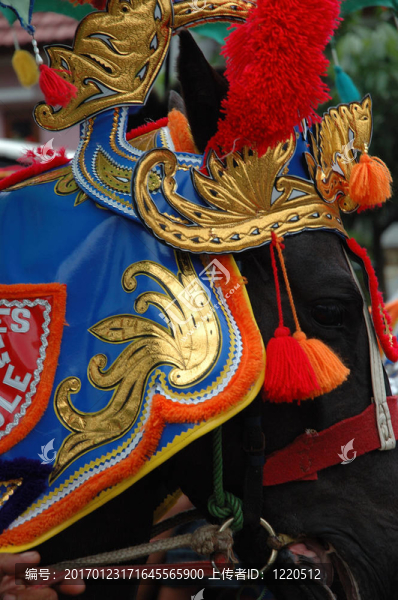瑞公馬