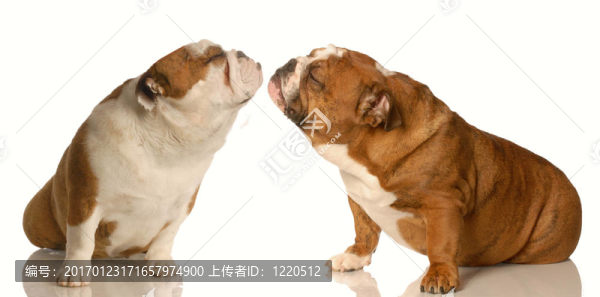 早戀