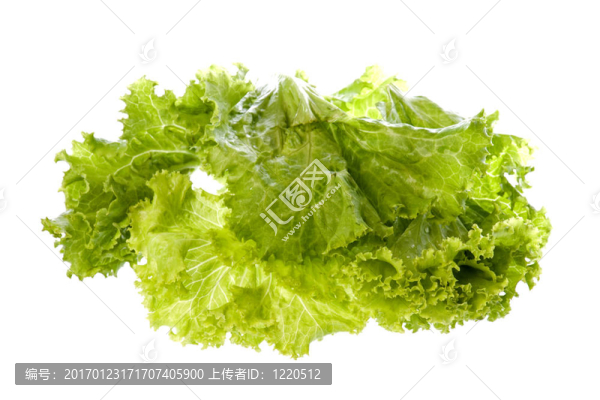 沙拉分離