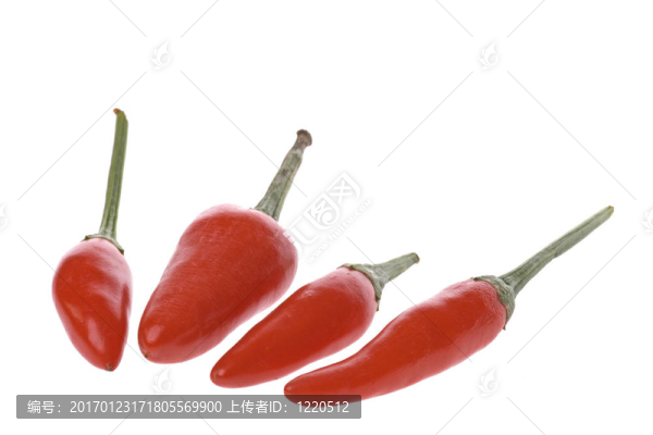 紅色的小辣椒的宏；