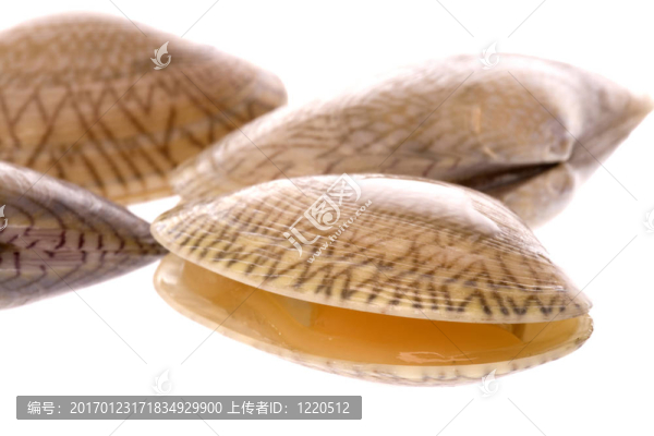 substr（活的食用蛤宏；0；200）
