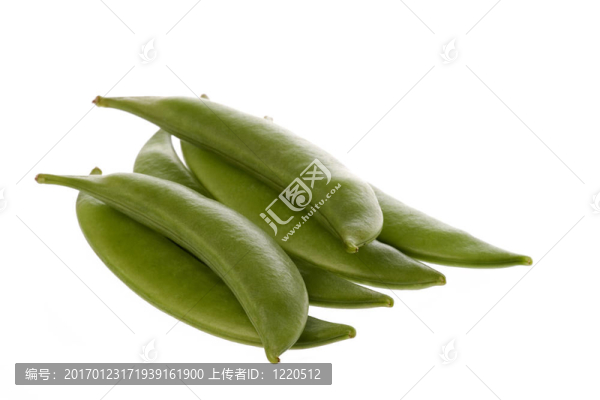 雪豌豆宏；