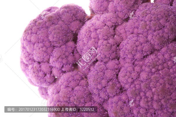 紫色的花椰菜宏