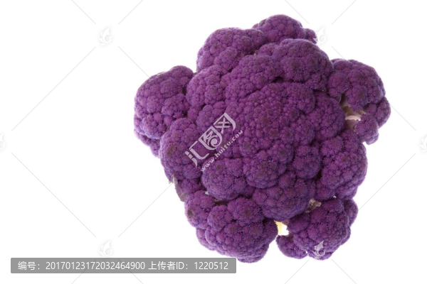 紫色的花椰菜