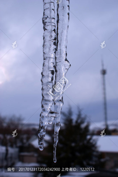 大冰柱-匯圖網(wǎng) www.fosd68.com 大冰柱