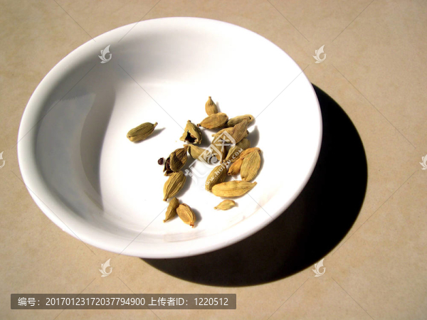 在白碗豆蔻