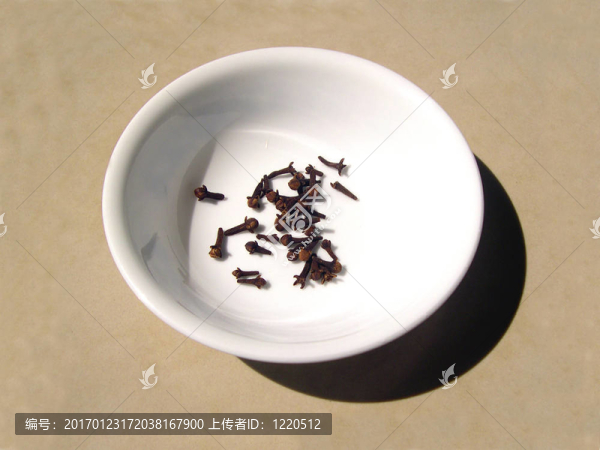 在白碗丁香