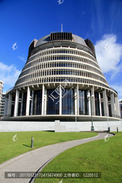 蜂巢；惠靈頓；新西蘭