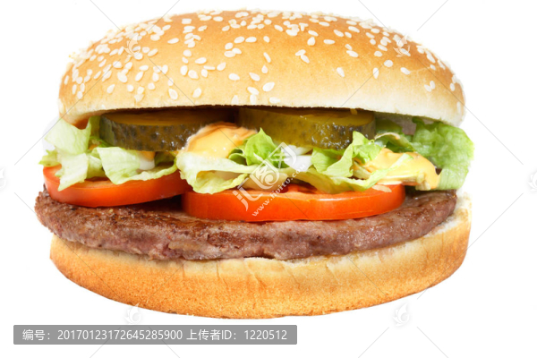 漢堡-匯圖網(wǎng) www.fosd68.com 漢堡