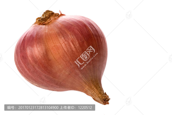 小洋蔥分離