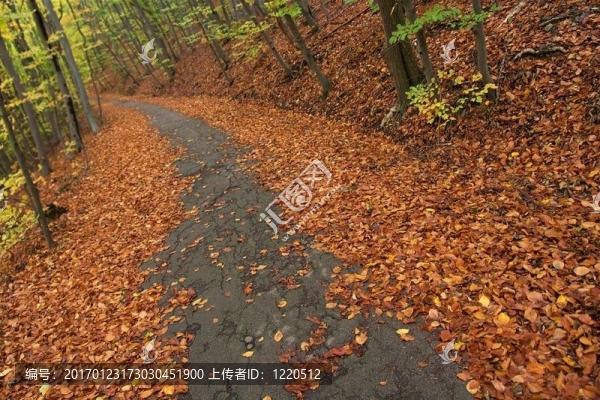 秋天
