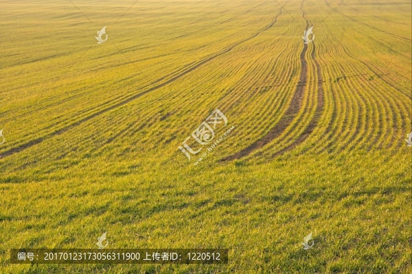 場