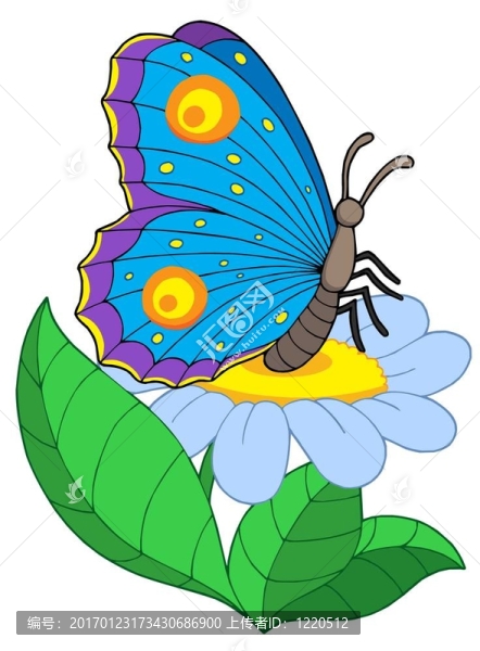蝴蝶花