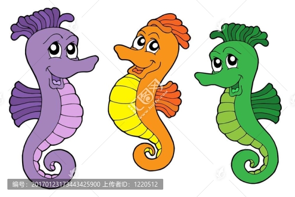 可愛的海馬