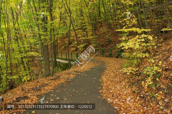 秋天