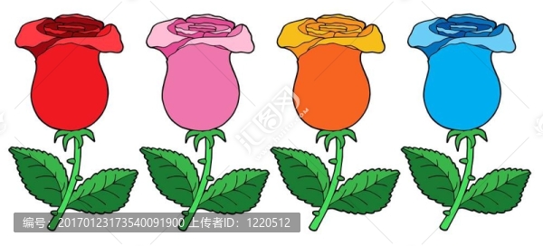 各色玫瑰集