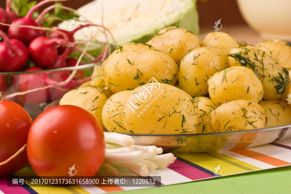 新土豆