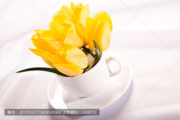 郁金香-匯圖網(wǎng) www.fosd68.com 郁金香