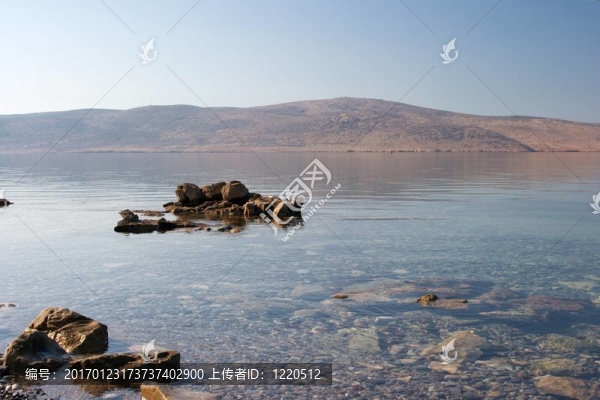 海