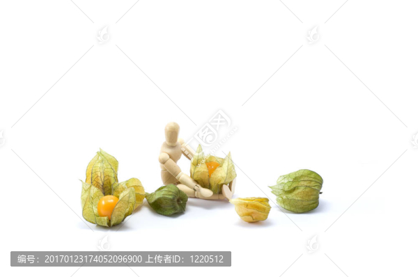 用酸漿木頭人