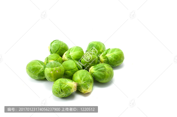 布魯塞爾豆芽