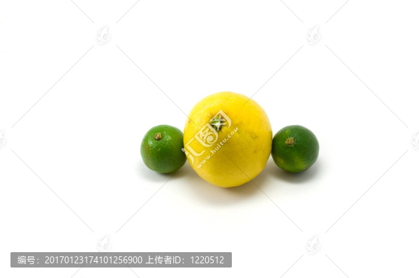 檸檬和酸橙