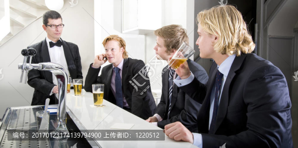 酒吧的蒼蠅